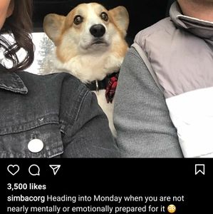 Be a champion!  Psalm 27:13-14